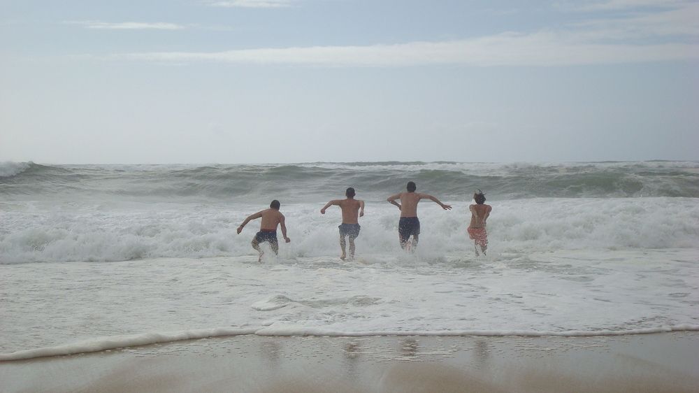 Photo #7444677