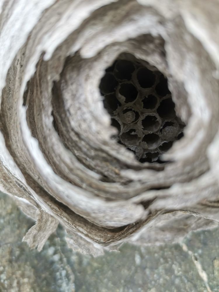 Photograph by Александра Барсукова