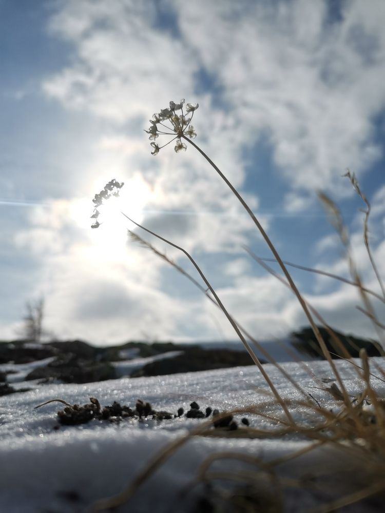 Photograph by Александра Барсукова