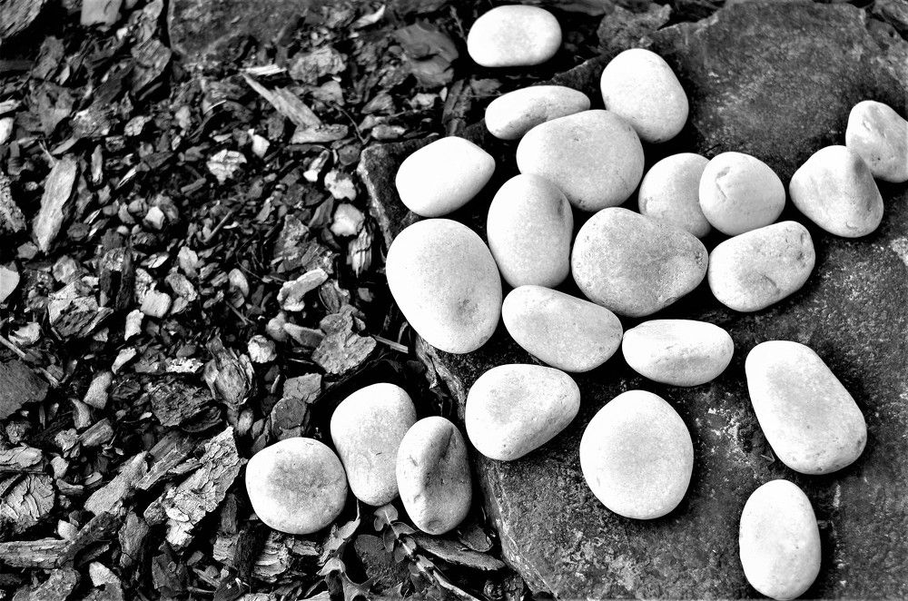 Photograph by Zdeňka Hudcová