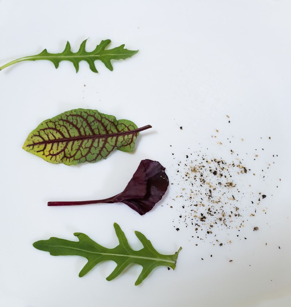 Photograph by Kristina Nutautiene