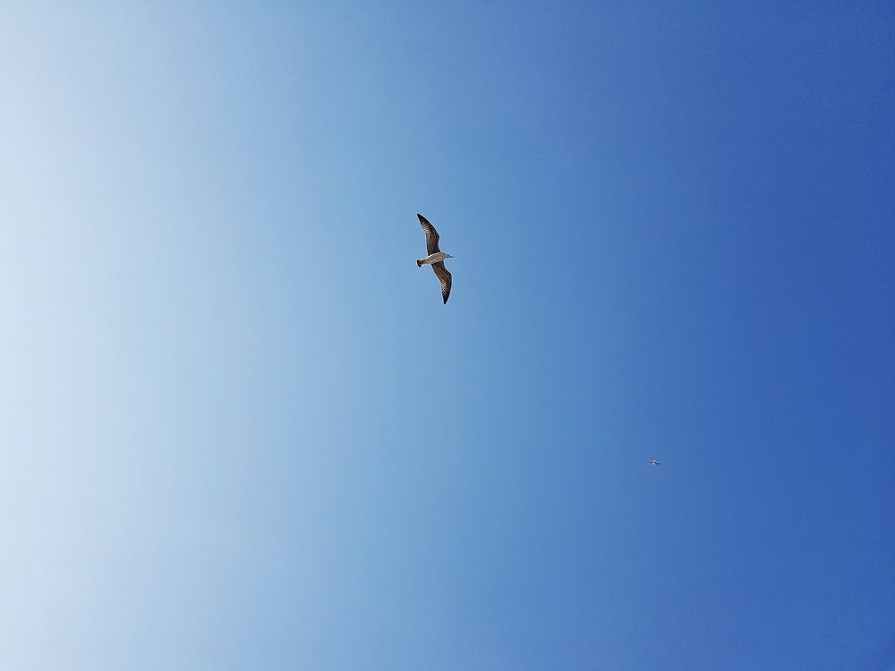 Фотография автора Дана Богинская