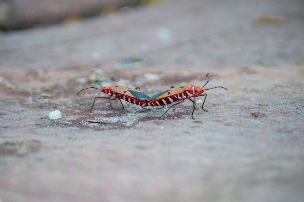 Photograph by Yash Sadawana