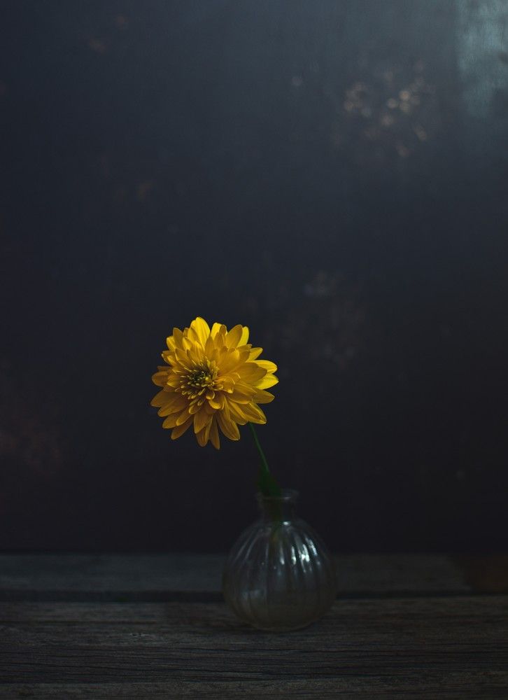 Photograph by Ксения Помогаева