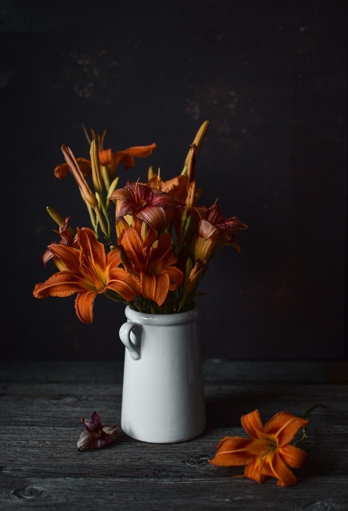 Photograph by Ксения Помогаева