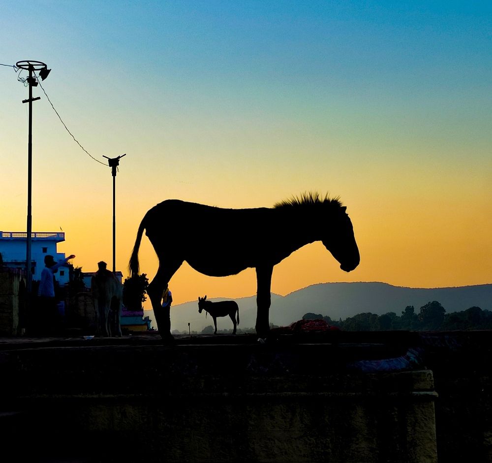 Photograph by Pushpansh katara