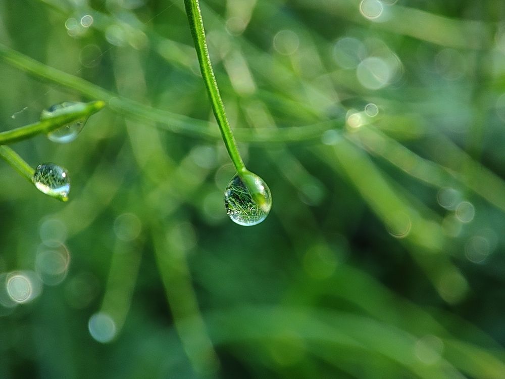 Photograph by Ajit Surin