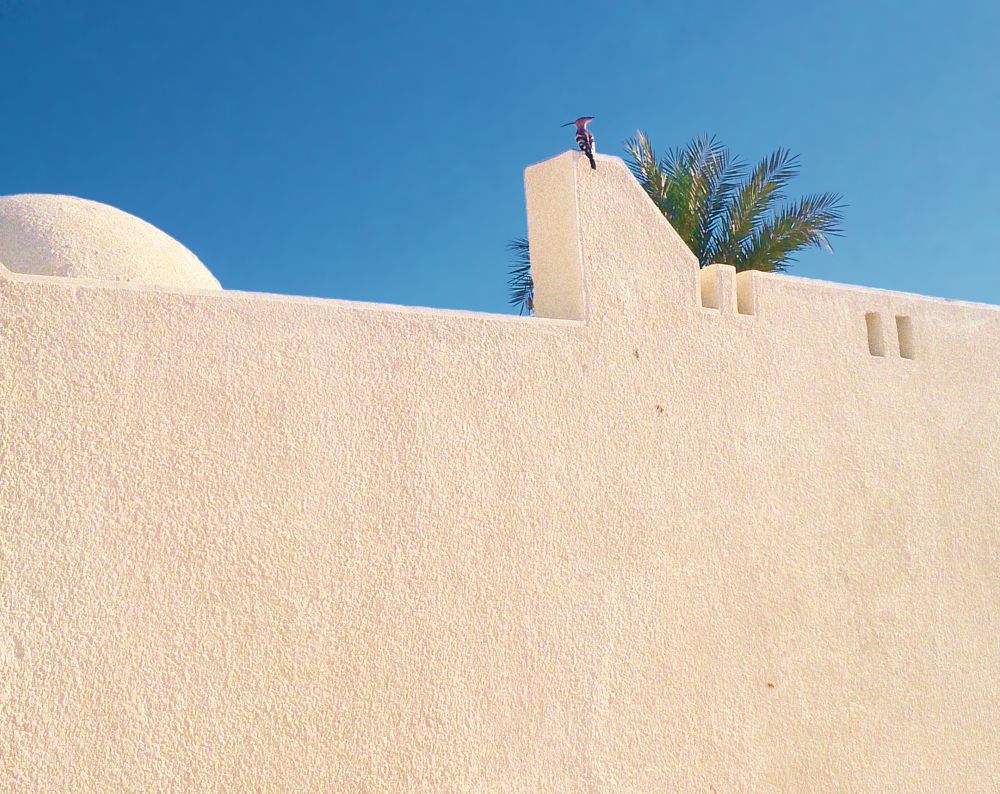 Photograph by Сергей Рулевский