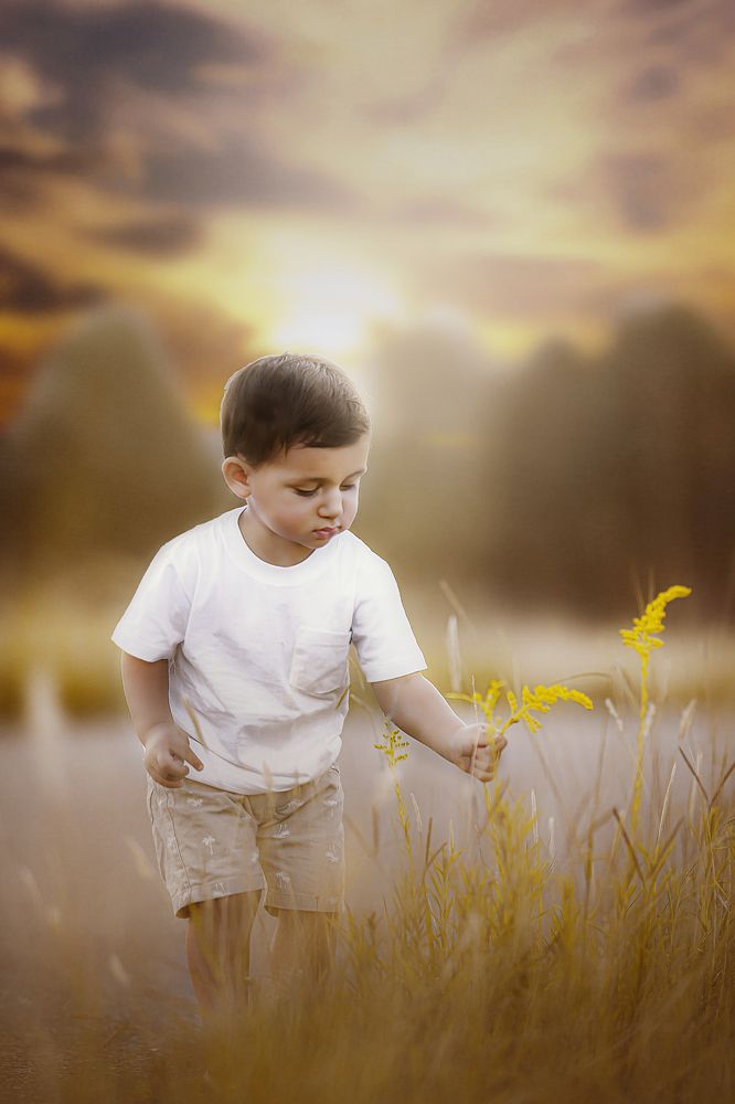 Photograph by Priscila Montanari