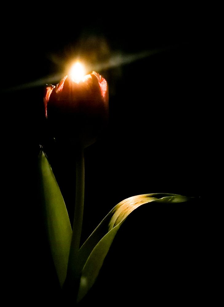 Photograph by Елена Швецова