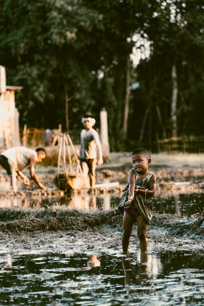 Photograph by Pratyosh chutia