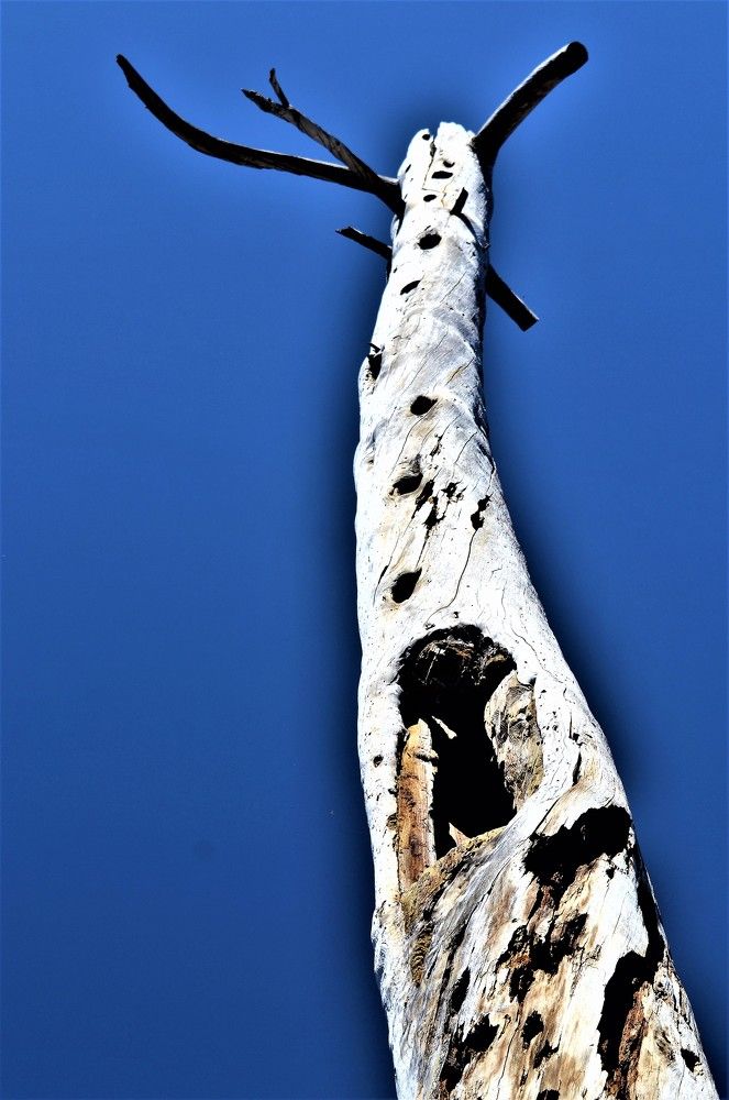 Photograph by Zdeňka Hudcová