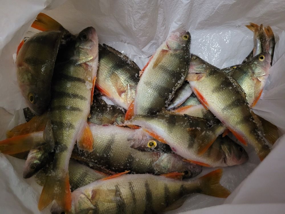 Photograph by Елена Полянская