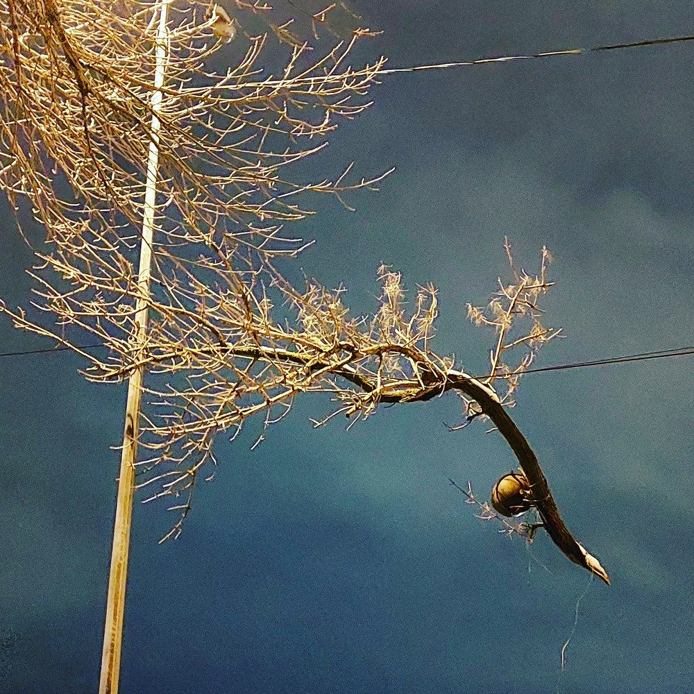 Photograph by Нина Паршина