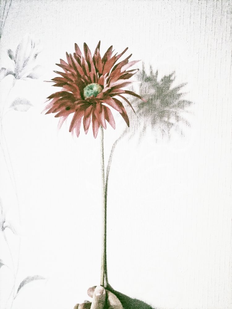 Photograph by Наталья Веряскина