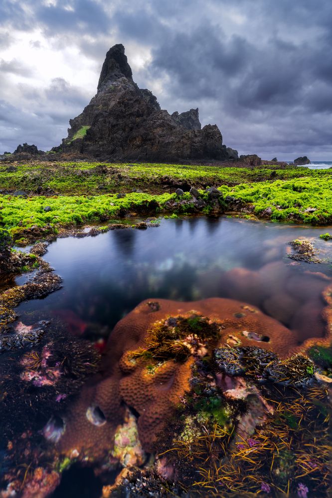 Photograph by TSUNG HAN YU