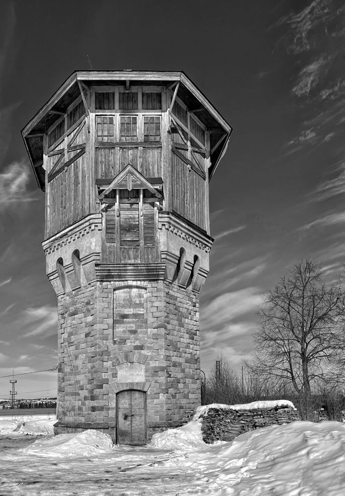 Фотография автора Виктория Ильина