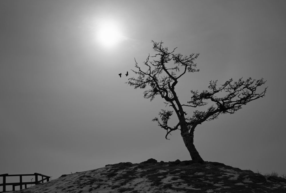 Ольхонский мнинимализм