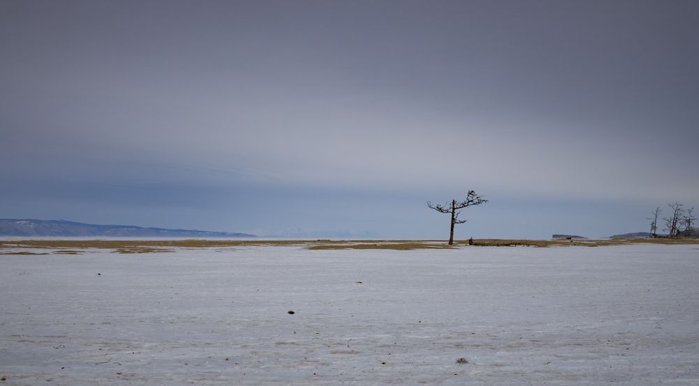 Photograph by Максим Подосинников