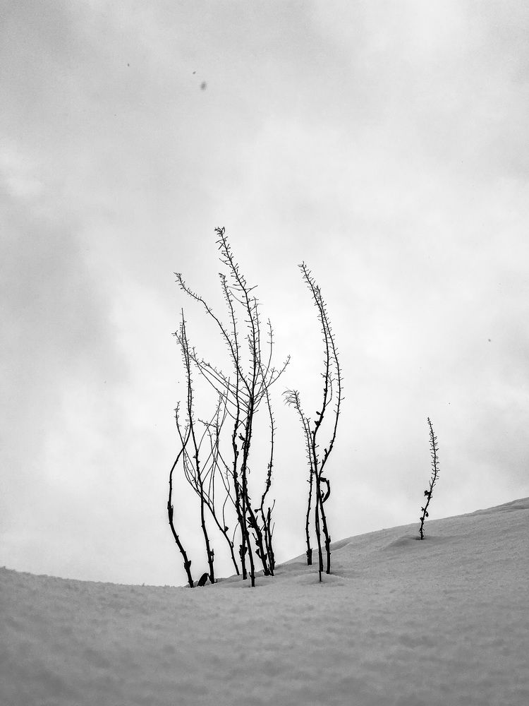 Photograph by Гульнас Бадретдинова