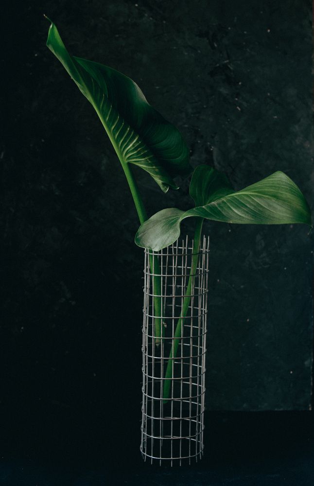 Photograph by Ирина Воробьева