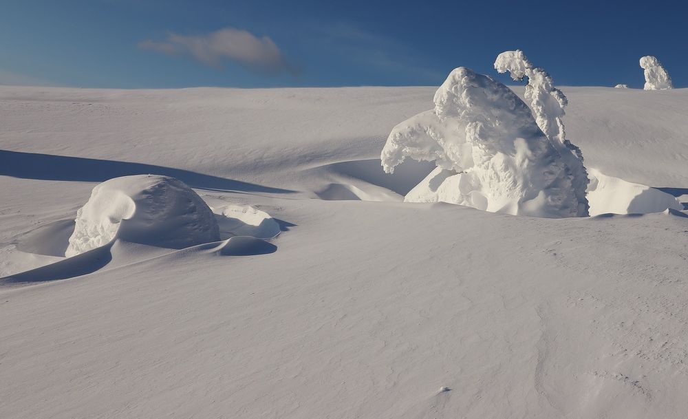 Photograph by Светлана Федотова
