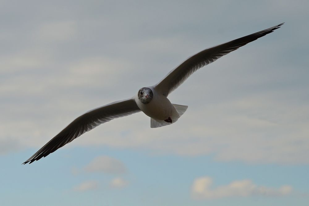 Photograph by Vitaliy