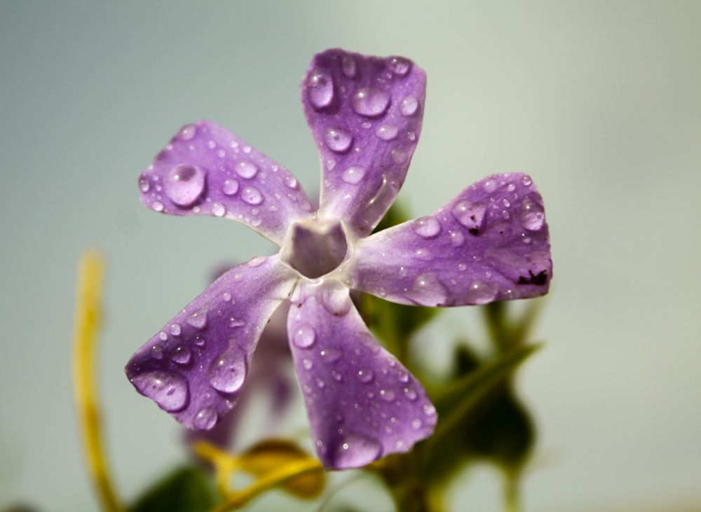 Photograph by Ayoub Kebbour