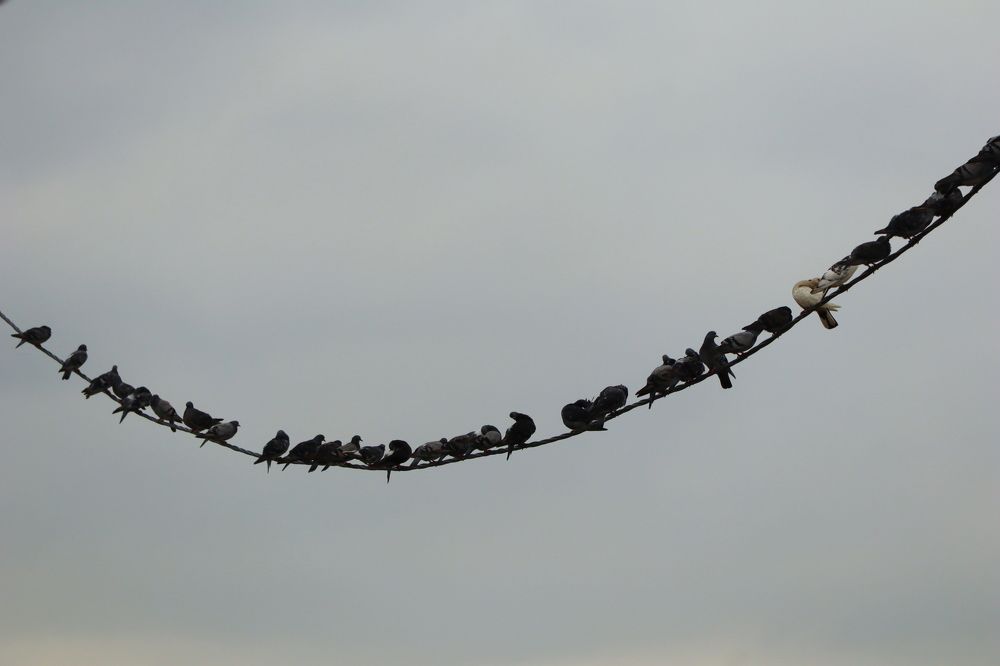 Photograph by Anna Perevozchikova