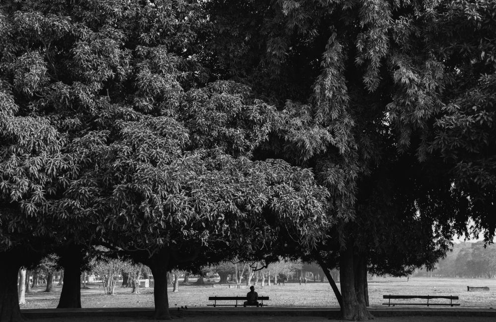 Фотография автора Soumalya Das