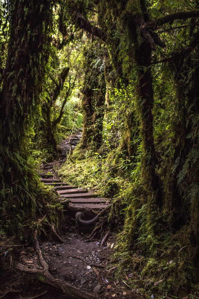 Photograph by Geraldine Michell