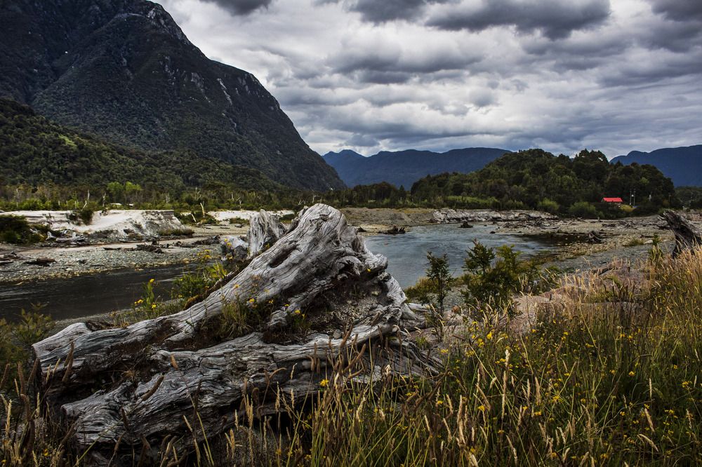 Photograph by Geraldine Michell