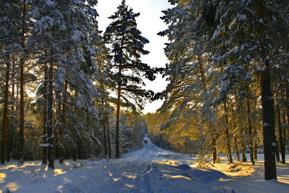 Photograph by вячеслав милов