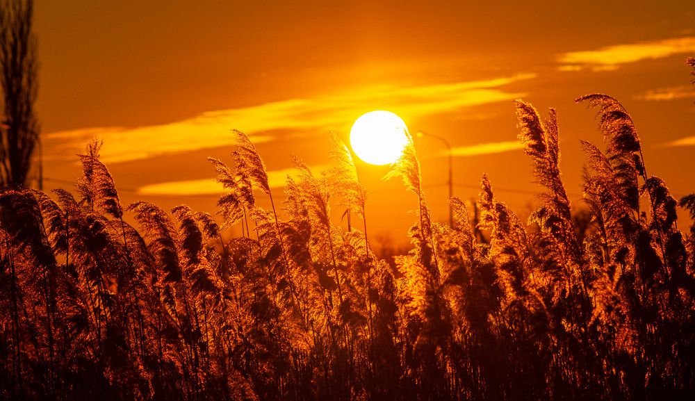 Photograph by Редько Александр