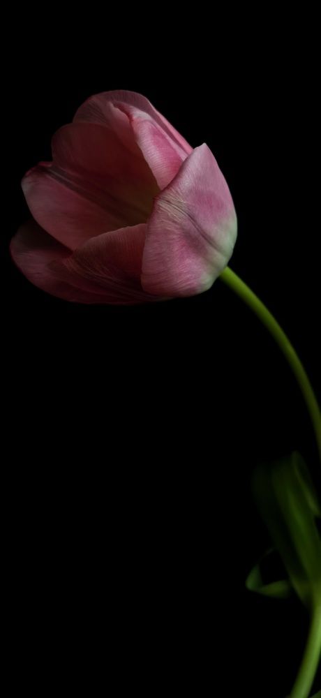 Photograph by Елена Акимова