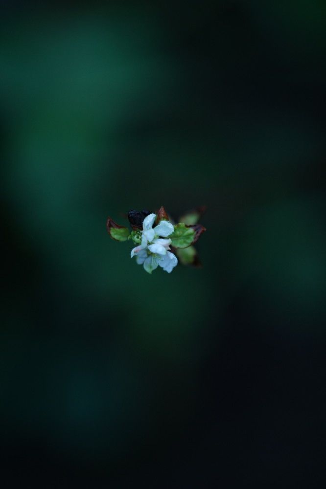 Photograph by Екатерина Стрельникова