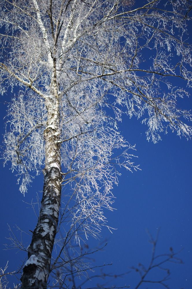 Photograph by Екатерина Стрельникова