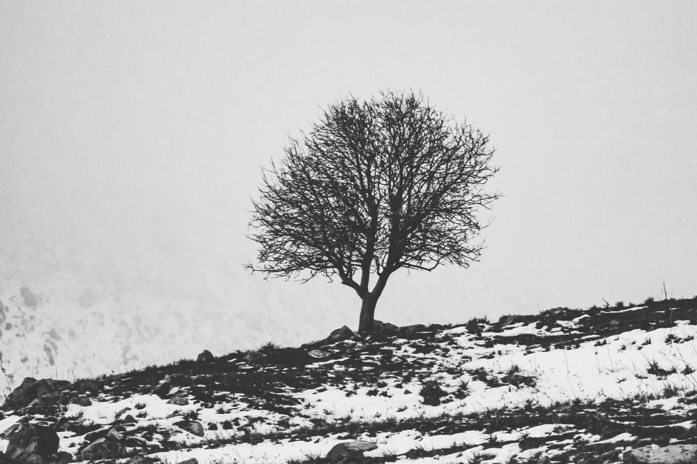 Photograph by Ayoub Kebbour