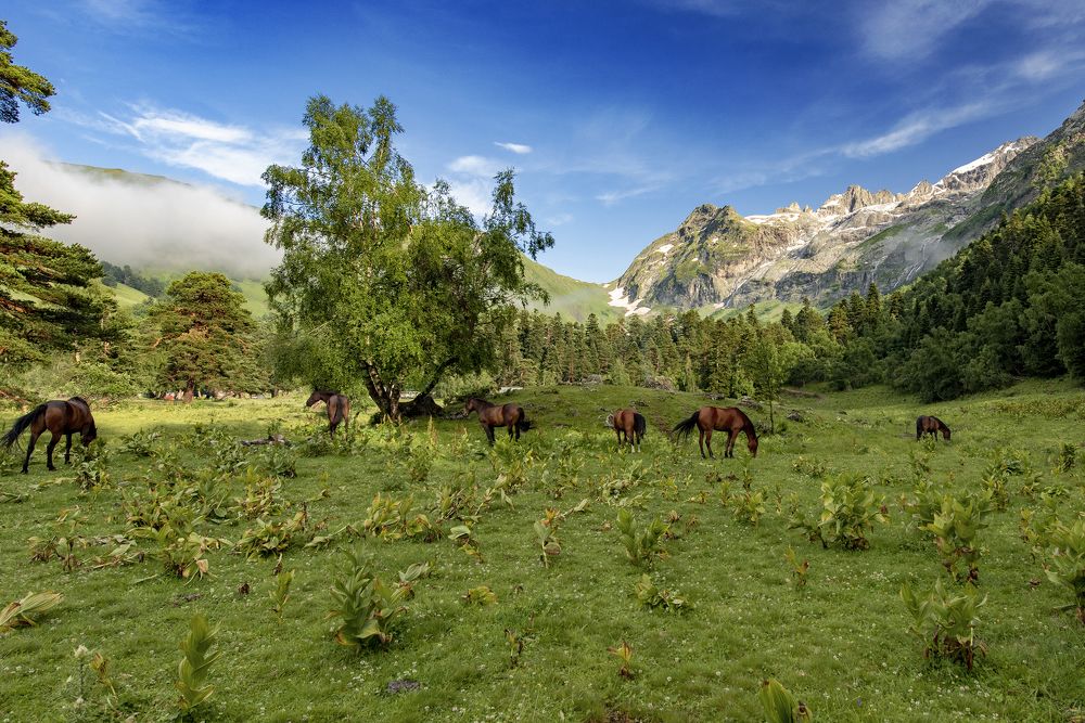Photograph by Андрей Анатольевич Жуков