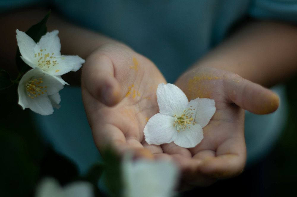 Photograph by Наталья Федорова