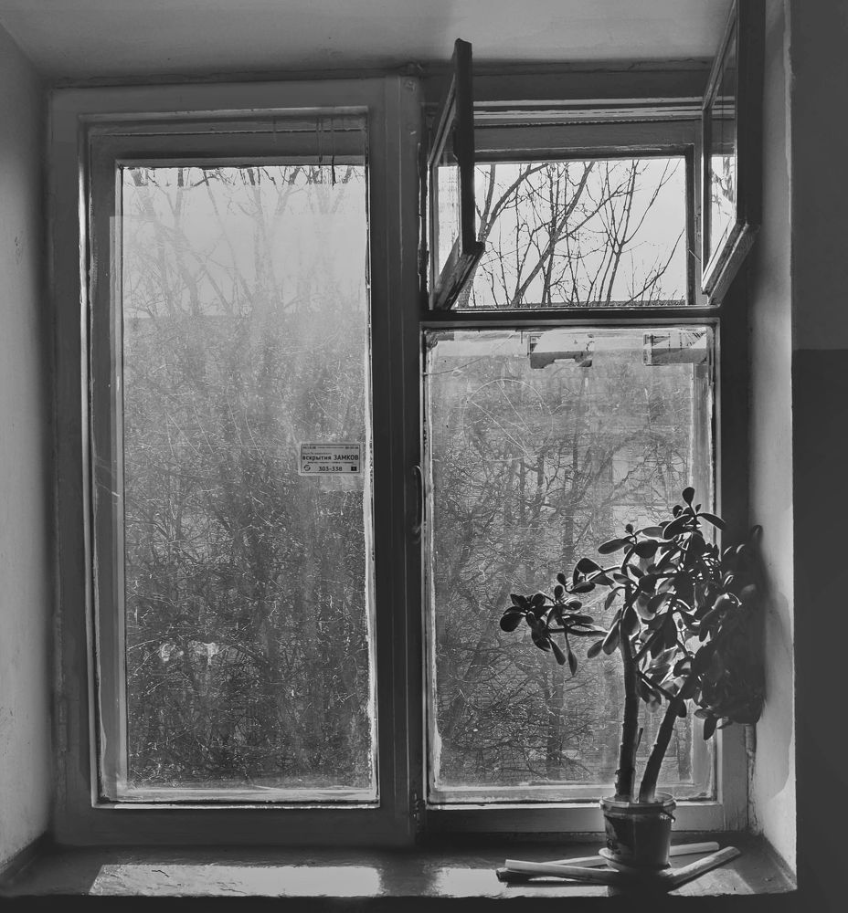 Фотография автора Ольга Забрянская