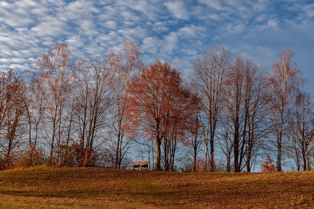 Photograph by Norberto Monagas