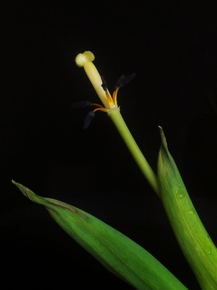 Photograph by Оксана Рогачева