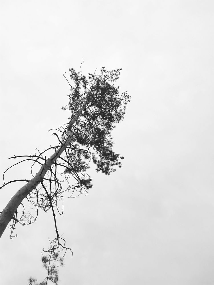 Photograph by Оксана Рогачева