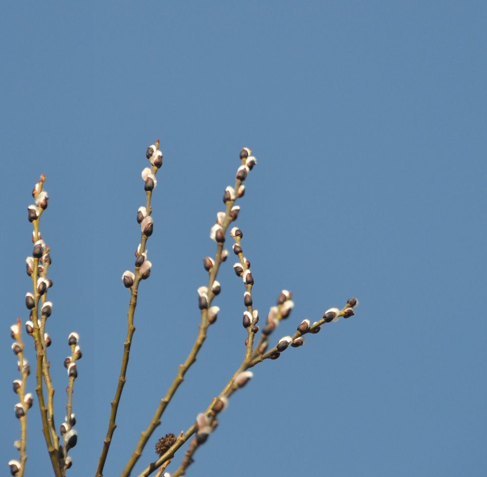 Photograph by Павел Зюлин