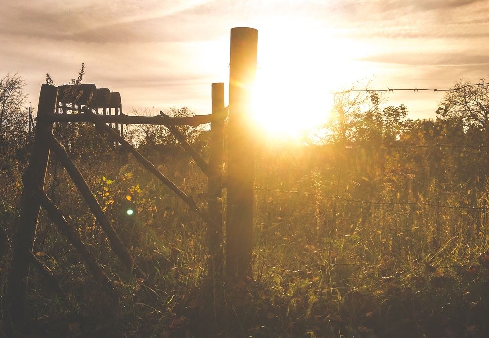 Photograph by Фролов Владимир