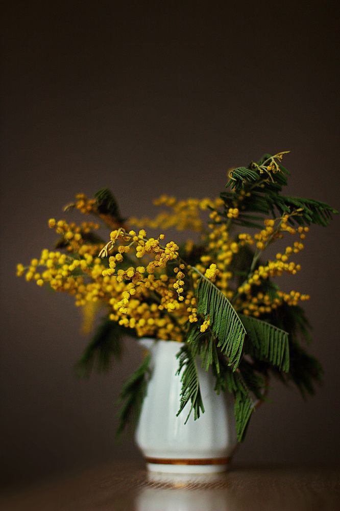 Photograph by Марина Морозова