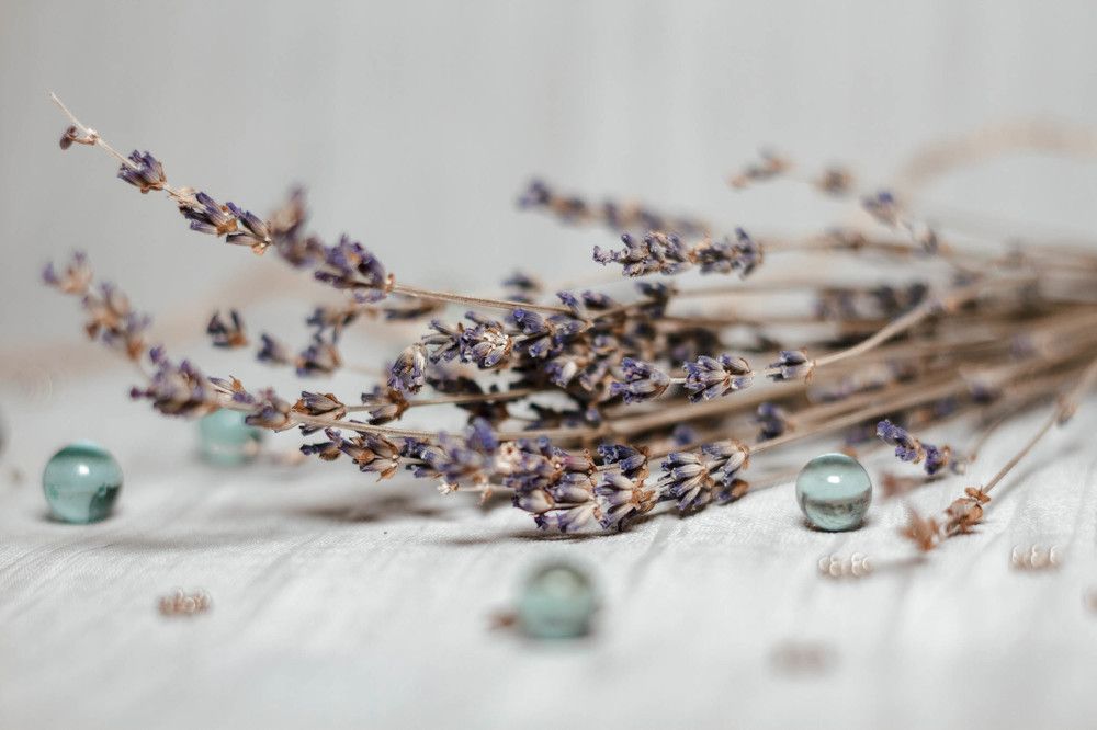 Photograph by Елена