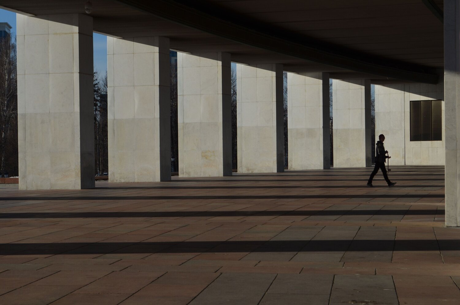 Photo #7445627