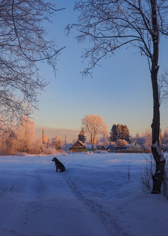 Photograph by Татьяна Шандромайло